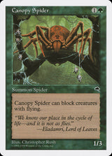 Canopy Spider - Magic: The Gathering
