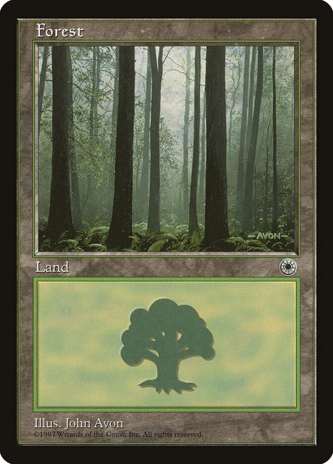 Forest (Ferns on Ground)