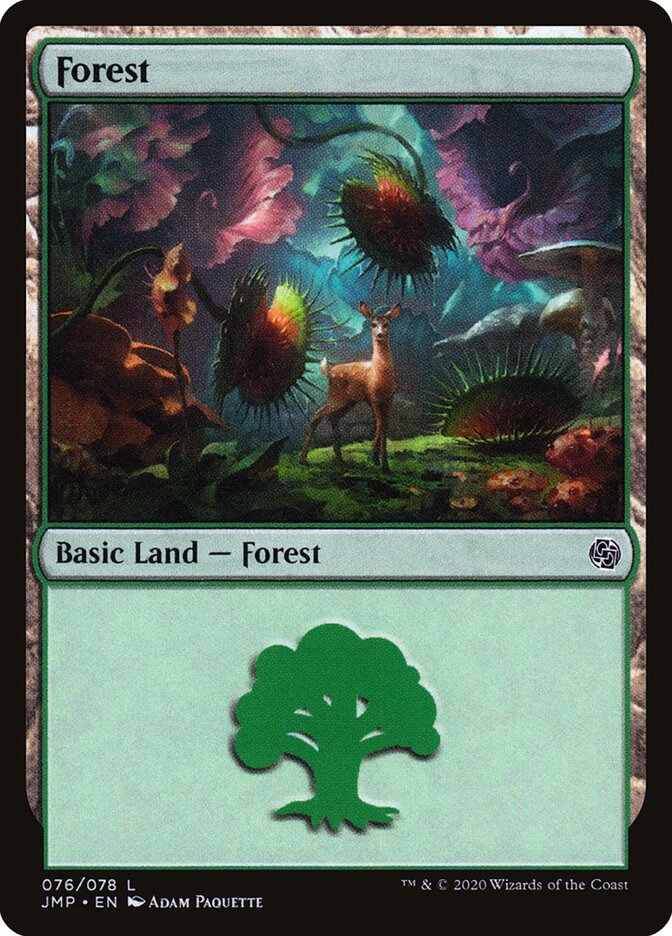 Forest (076)