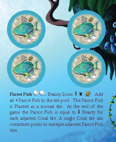 Octopus' Garden: Parrot Fish