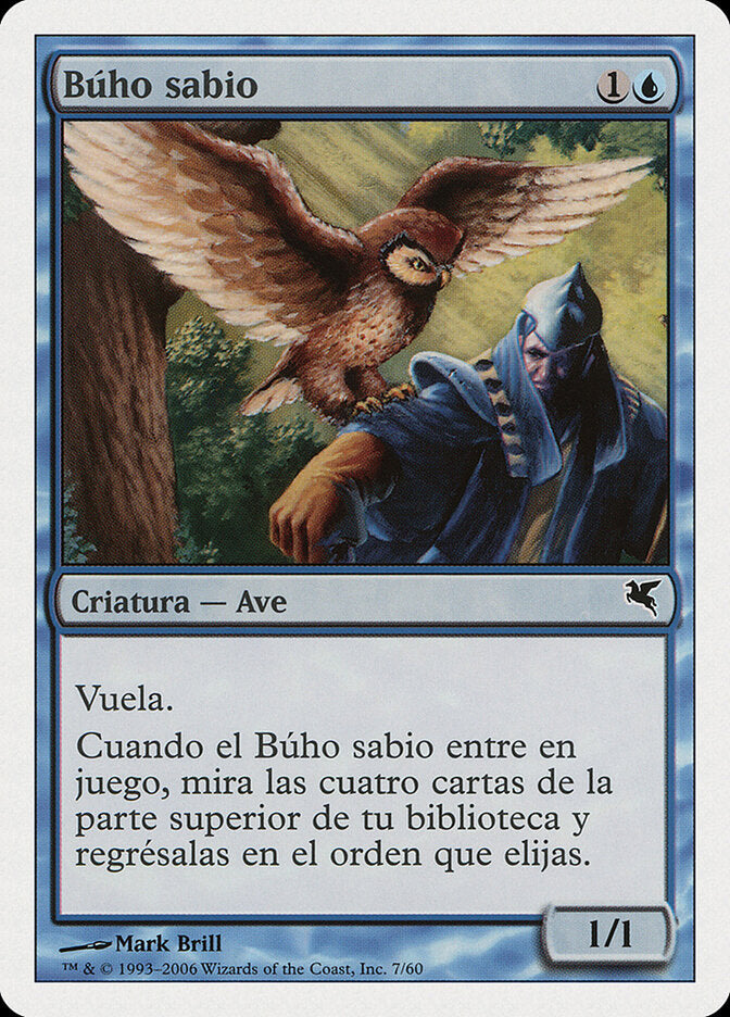Sage Owl (Spanish) - "Búho sabio"