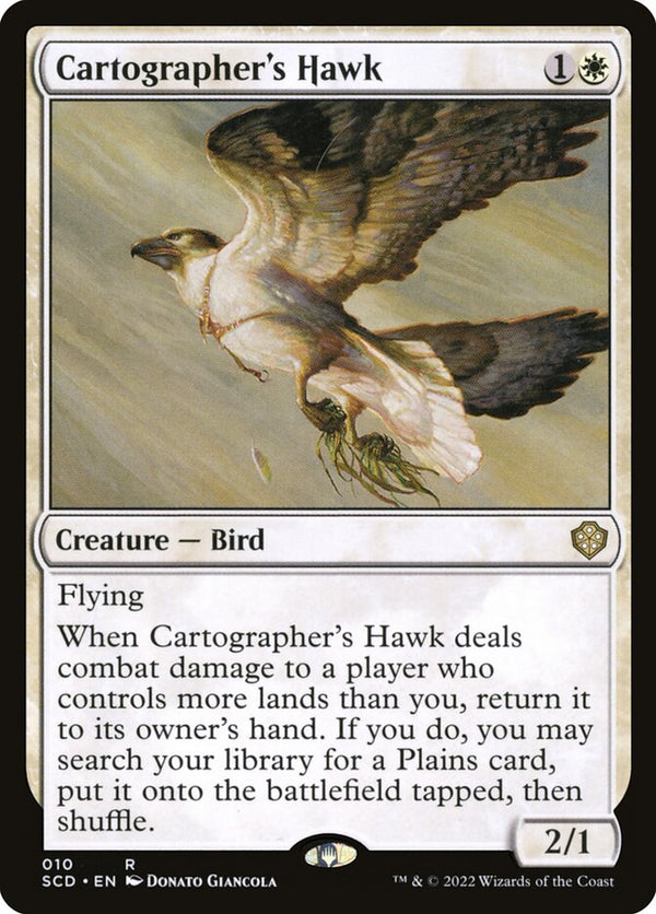 Cartographer's Hawk - Magic: The Gathering