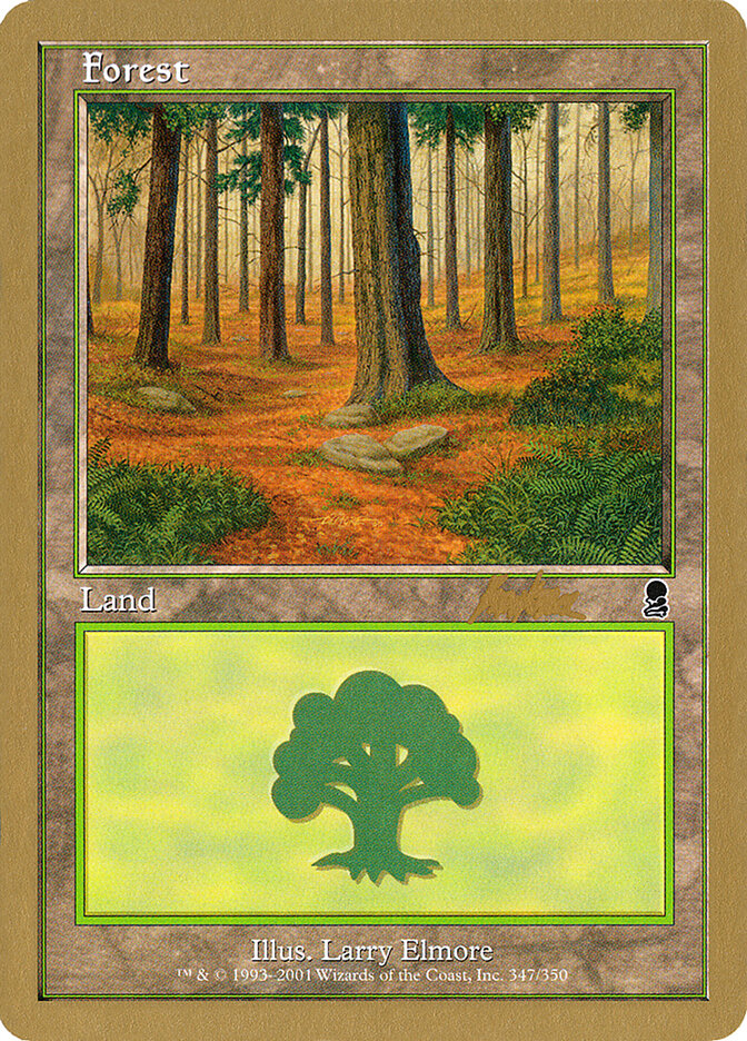 Forest (347) - 2002 Brian Kibler (ODY)