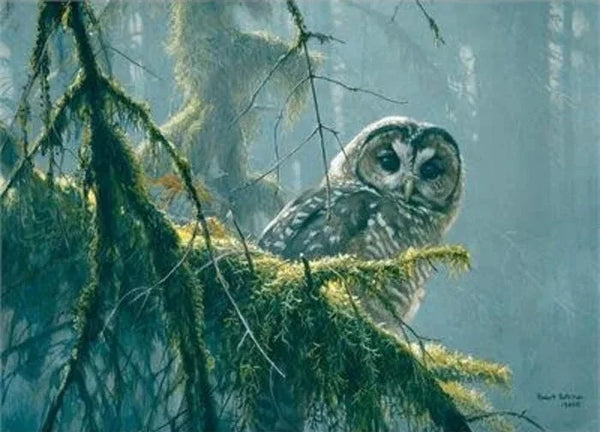 Cobble Hill Mossy Branches Spotted Owl - 500 Piece Puzzle - My Store
