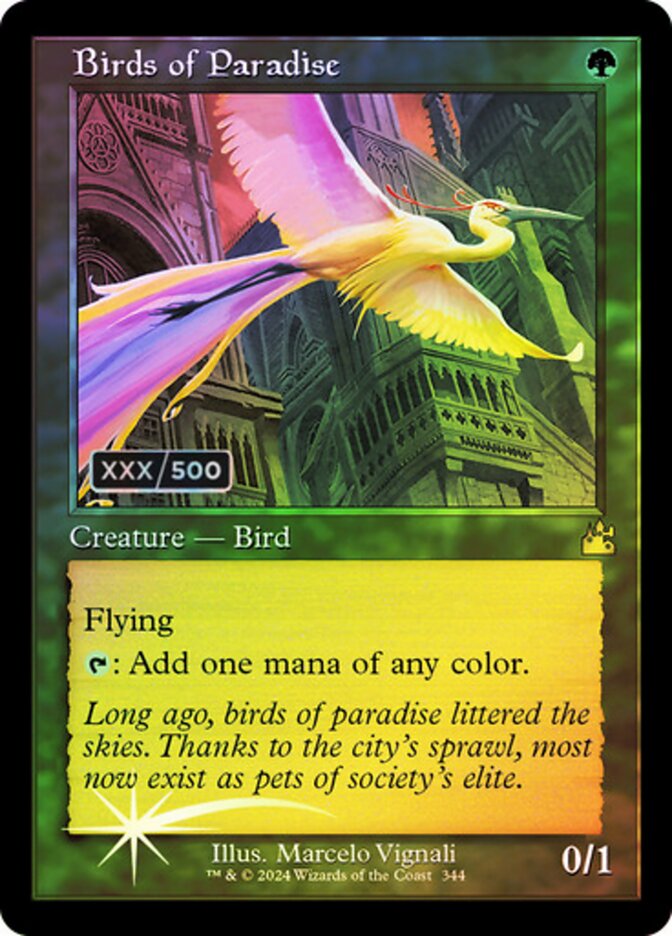 Birds of Paradise (Retro Frame) (Serial Numbered)