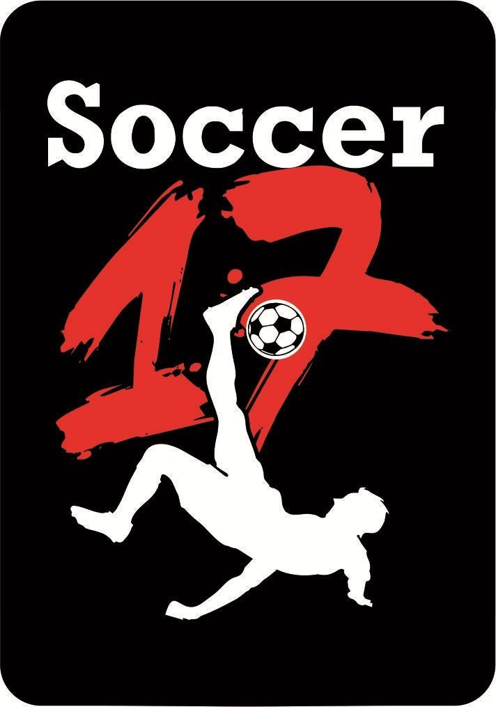 Soccer 17