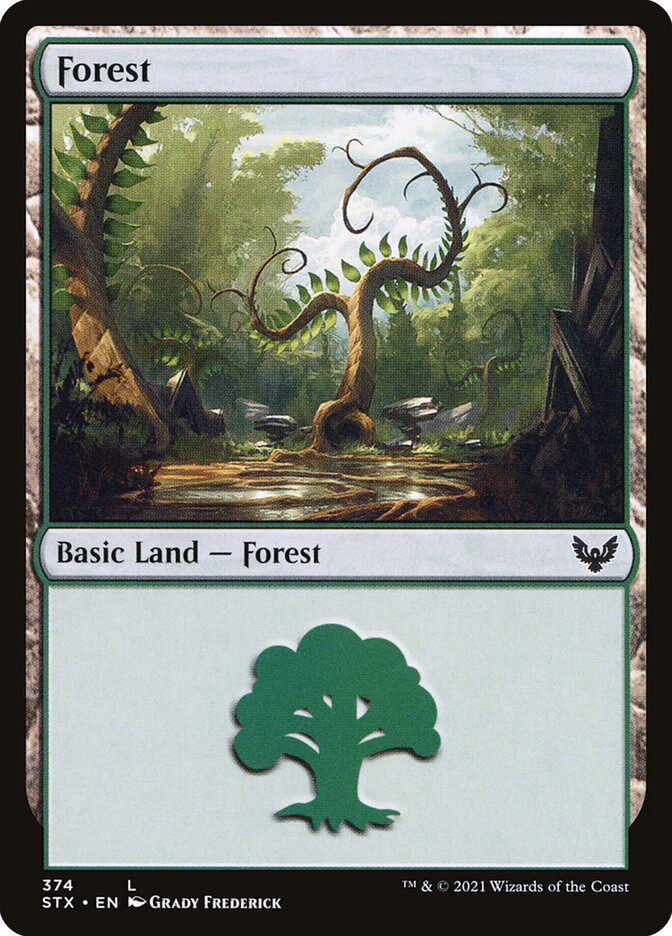 Forest (374)