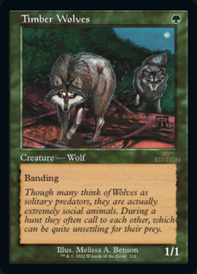 Timber Wolves (Retro Frame)