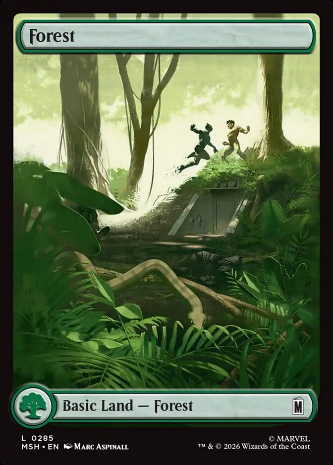 Forest (0285)