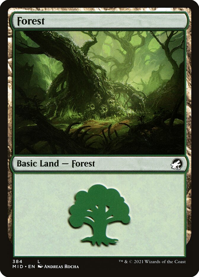 Forest (384)