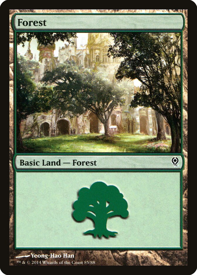 Forest (85)