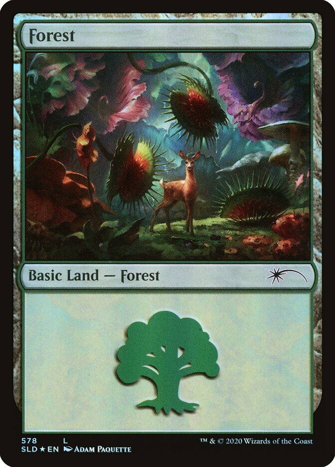 Forest (578)