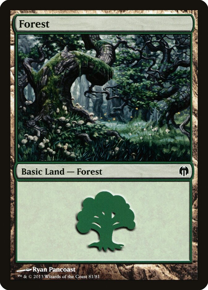 Forest (81)