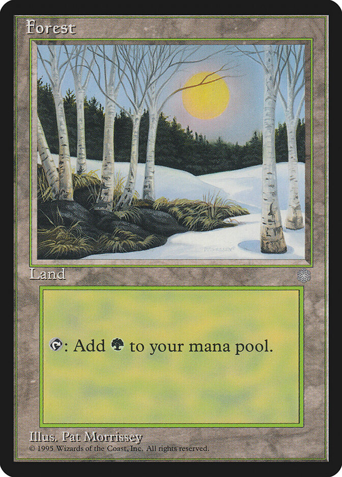 Forest (328)