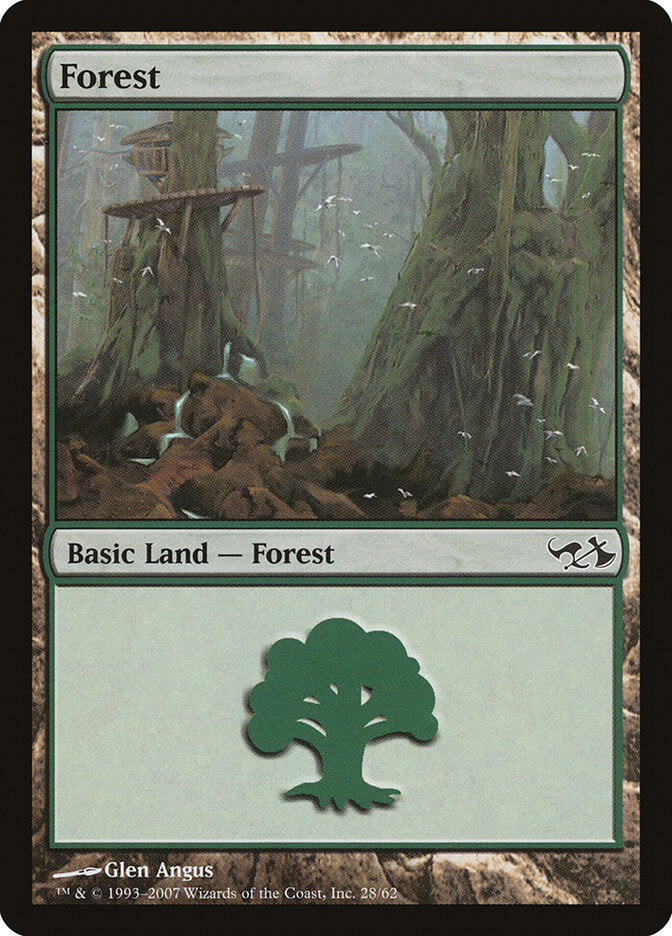 Forest (28)