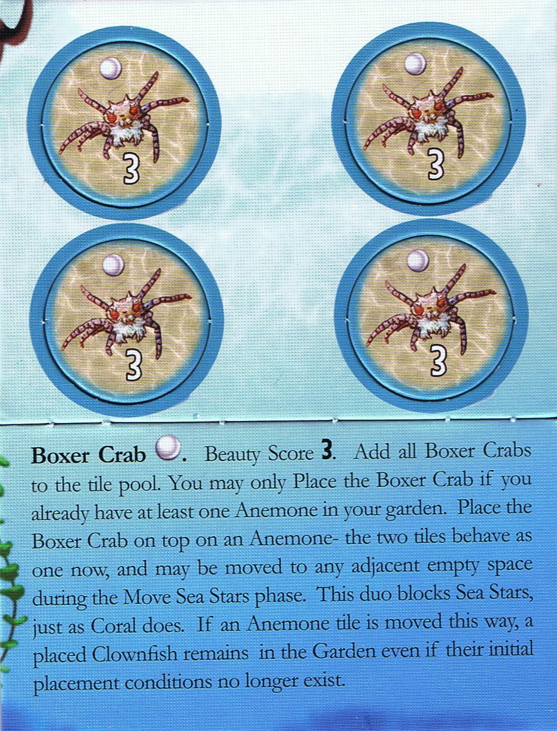 Octopus' Garden: Boxer Crab