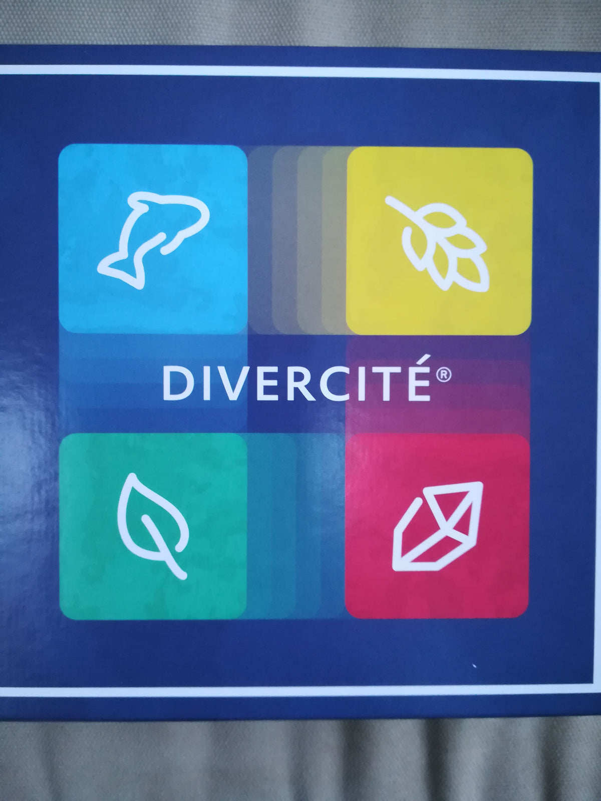 Divercité