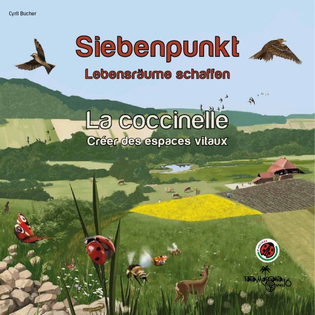 Siebenpunkt