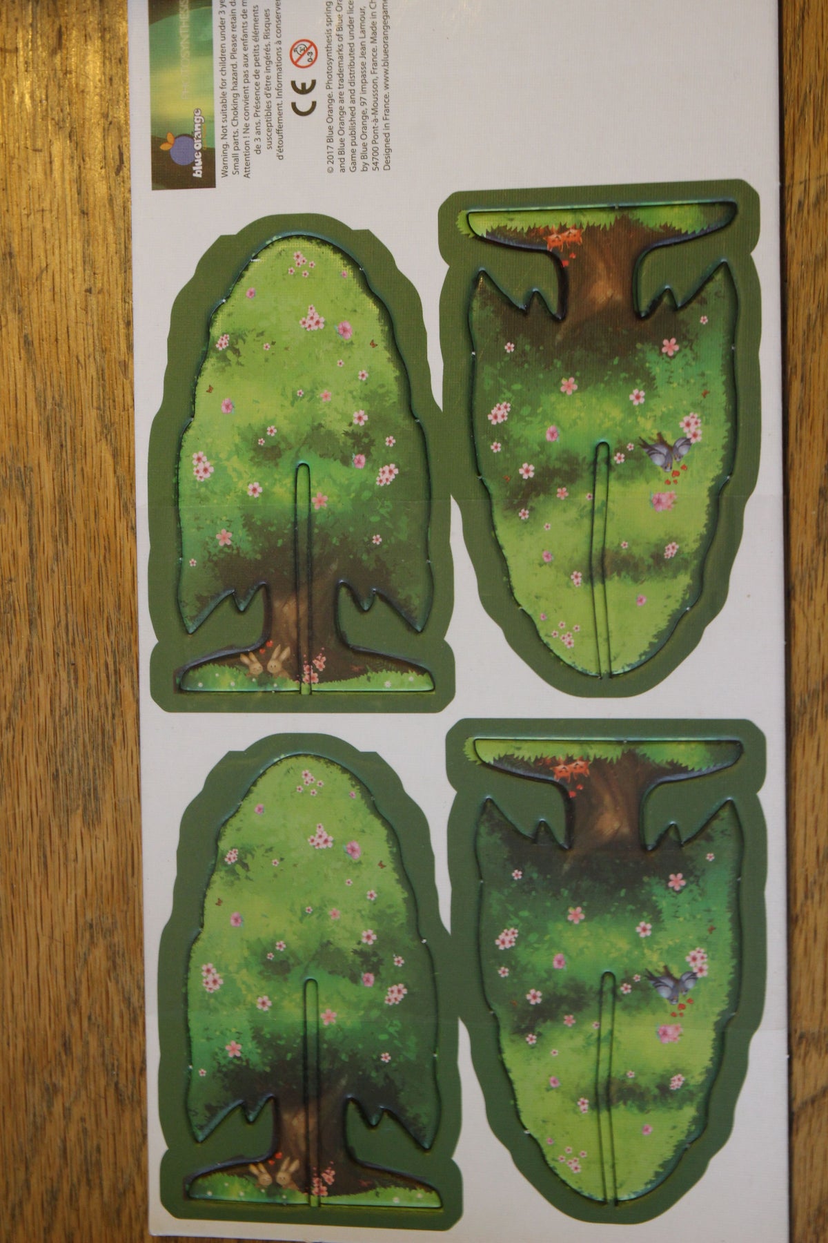 Photosynthesis: Spring Trees