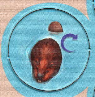 Whitewater: Cranky Beavers